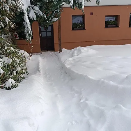 Lejlighed Apartma Adam Rokytnice nad Jizerou